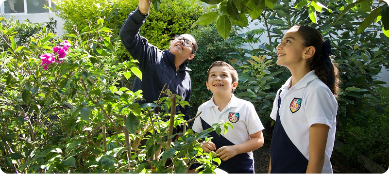 open-school-actividades-v2